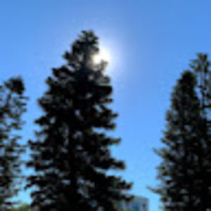 Meet your Posher, Gabriella